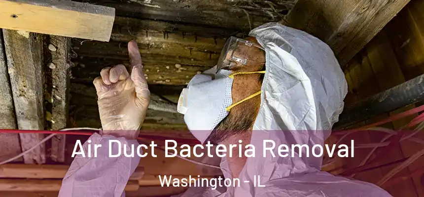  Air Duct Bacteria Removal Washington - IL
