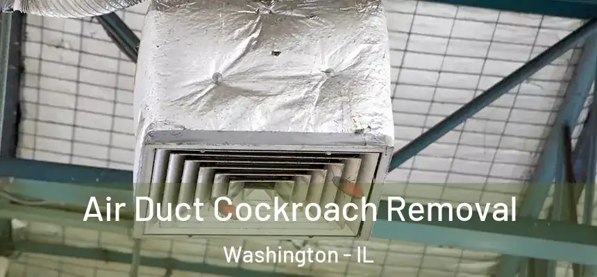  Air Duct Cockroach Removal Washington - IL