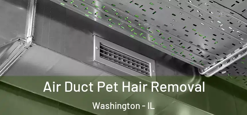 Air Duct Pet Hair Removal Washington - IL