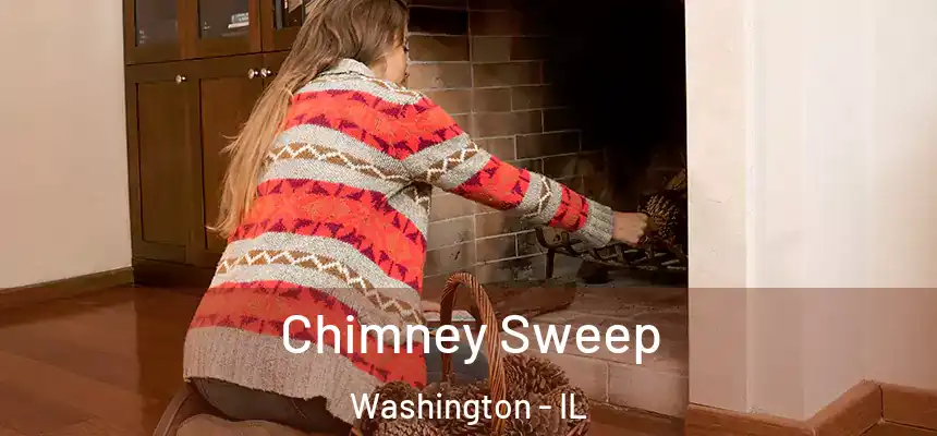  Chimney Sweep Washington - IL
