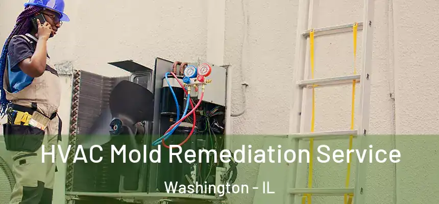  HVAC Mold Remediation Service Washington - IL