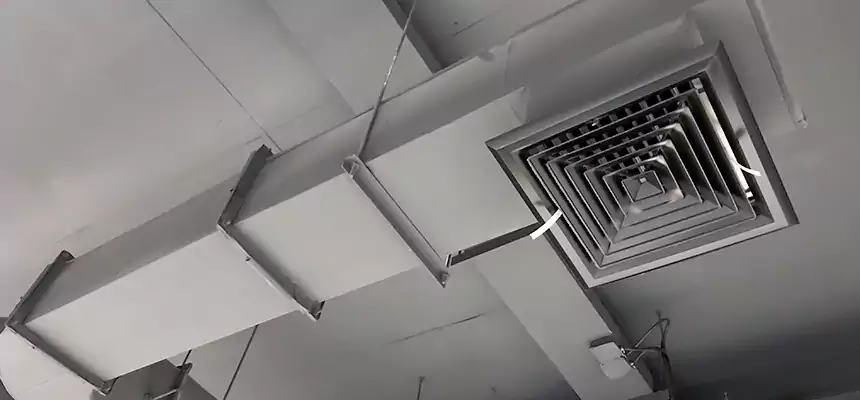 Our Pest Removal From Ducts Services in Washington, IL