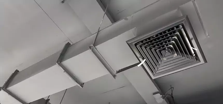 Our Rodent Droppings In Vents Services in Washington, IL