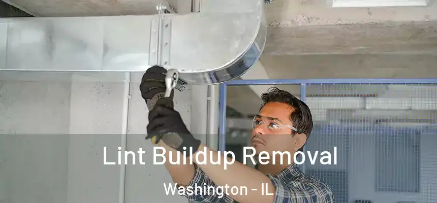 Lint Buildup Removal Washington - IL