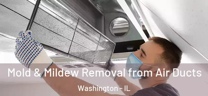 Mold & Mildew Removal from Air Ducts Washington - IL