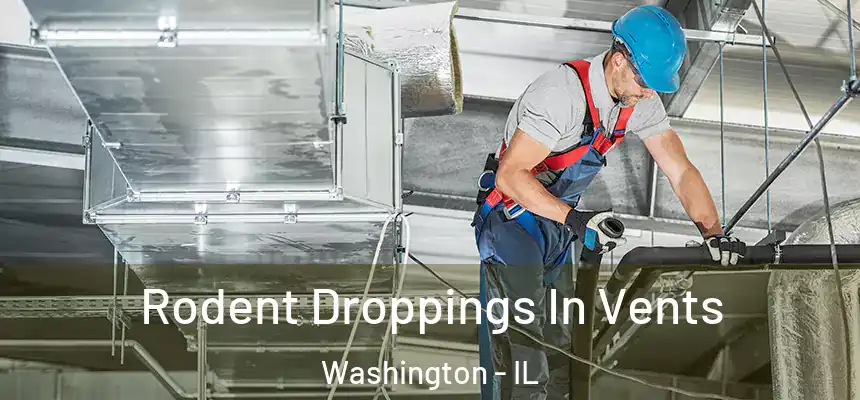  Rodent Droppings In Vents Washington - IL