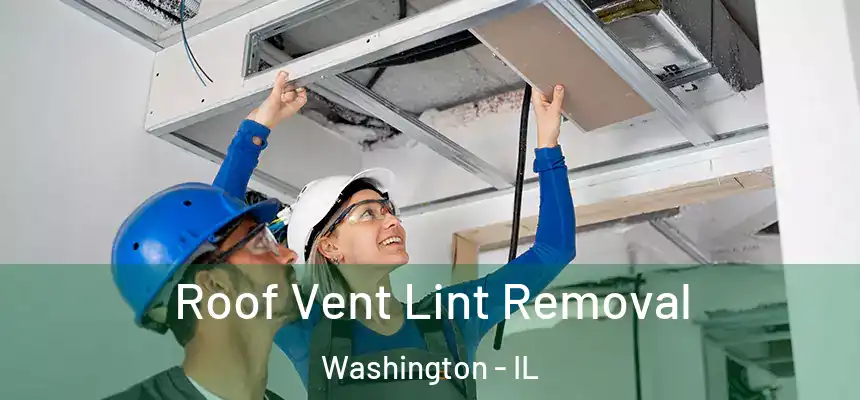  Roof Vent Lint Removal Washington - IL