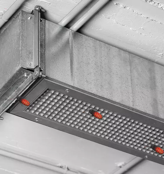 About Air Duct Cockroach Removal in Washington, IL