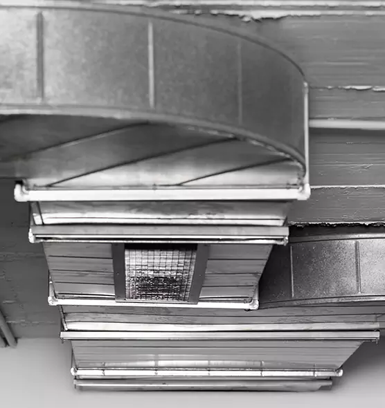 Professional Air Duct Pet Hair Removal in Washington, IL