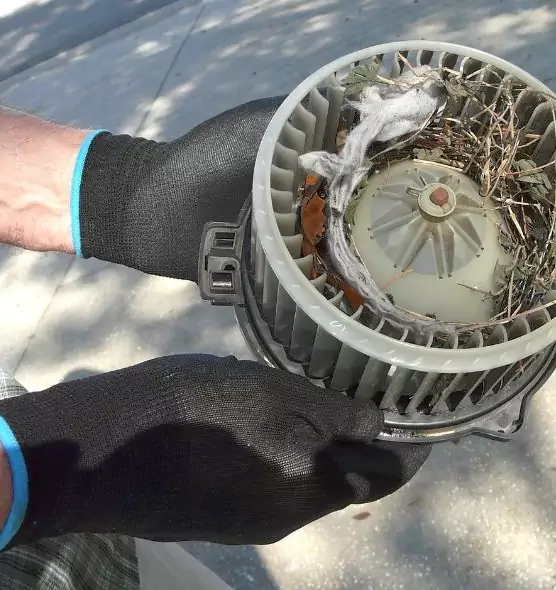 About Air Duct Rat Removal in Washington, IL