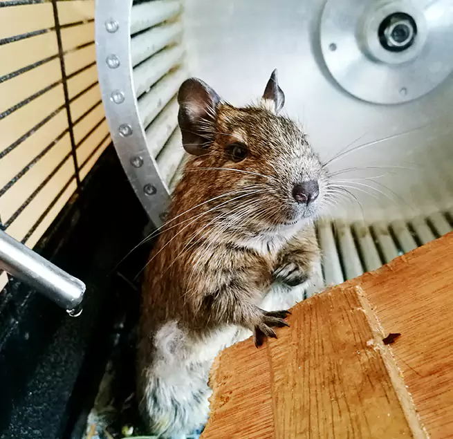 Why Homeowners & Businesses Trust Us Washington, IL?