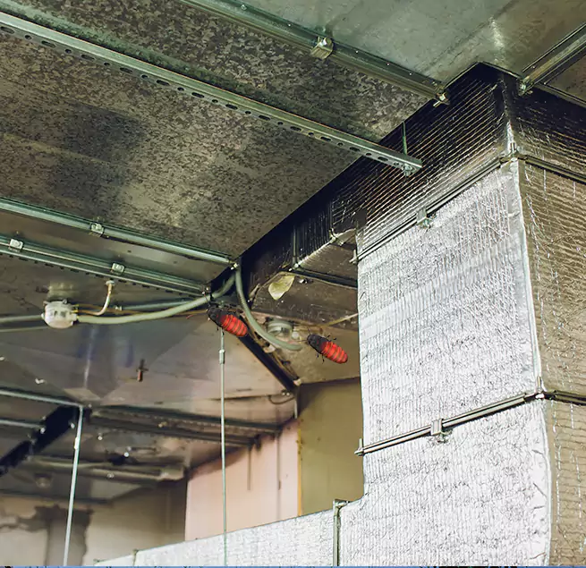 Why Homeowners & Businesses Trust Us Washington, IL?