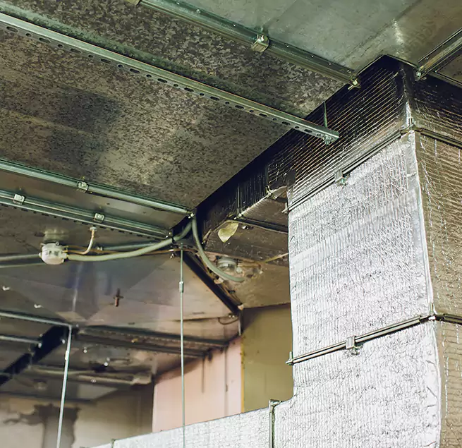 Why Homeowners & Businesses Trust Us in Washington, IL?